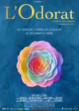 Odorat, L'