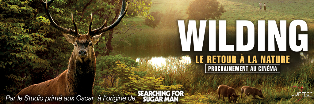 Wilding - Prochainement