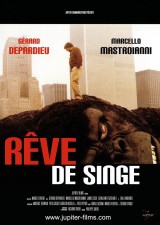 Rêve de singe