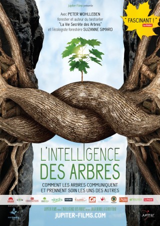 L'Intelligence des Arbres