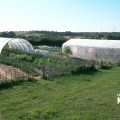 Extrait image Mains dans la Terre, Les - Naissance d'un écovillage