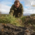 Extrait image Wilding - Le Retour à la Nature