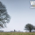 Extrait image Wilding - Le Retour à la Nature