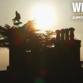 Extrait image Wilding - Le Retour à la Nature