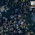 Extrait image Wilding - Le Retour à la Nature