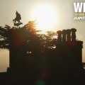 Extrait image Wilding - Retour à la Nature Sauvage