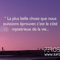 Extrait image Perceptions