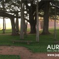 Extrait image Auroville, Vers une Écologie Spirituelle