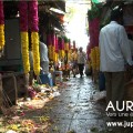 Extrait image Auroville, Vers une Écologie Spirituelle