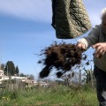 Extrait image Potager de mon Grand-Père, Le