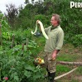 Extrait image Permaculture, La Voie de l'Autonomie