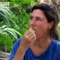 Extrait image Permaculture, La Voie de l'Autonomie