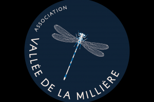 Vallée de la Millière