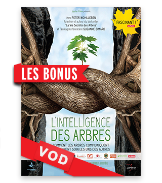 Intelligence des Arbres, L' / Les Bonus du DVD / HD / 48H / VF