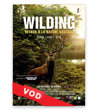 Wilding / HD / 48H / VF