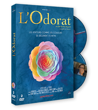 L'Odorat