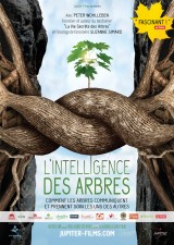 L'Intelligence des Arbres