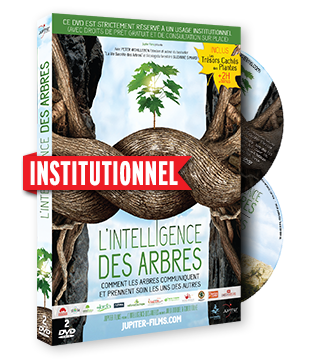 Intelligence des Arbres, L' - Version Institutionnelle